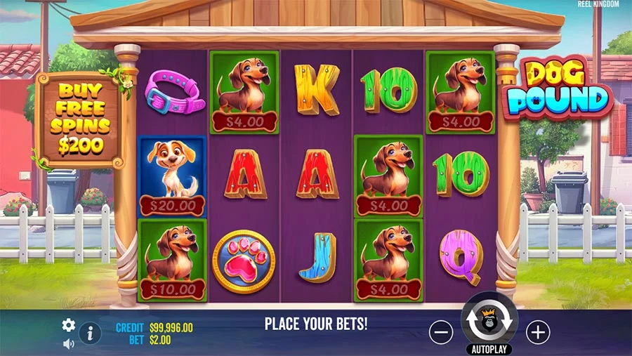 Dog Pound Bonus Buy slot gameplay