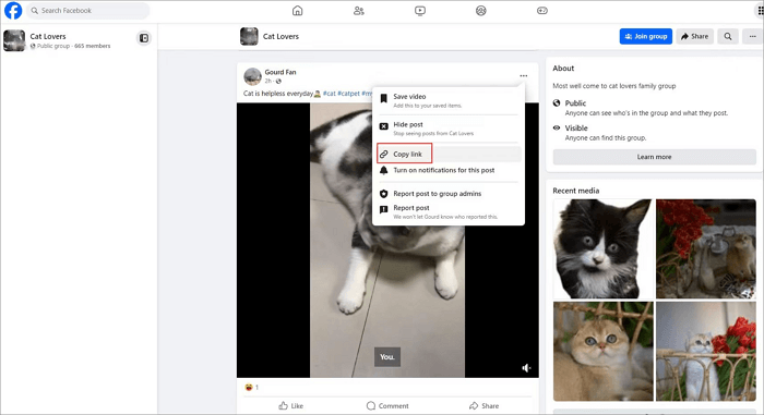 copy the video link on facebook messenger