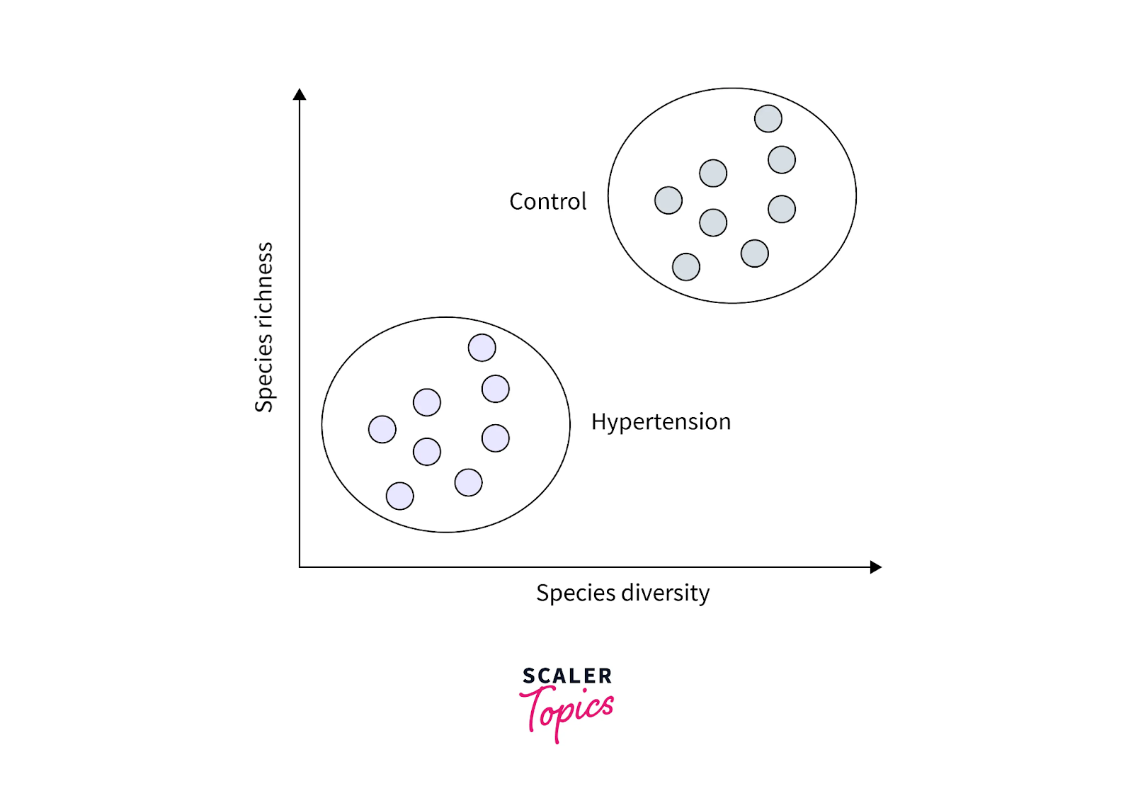 What is K-Means Clustering