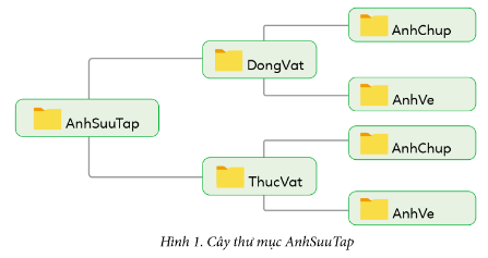 HOẠT ĐỘNG KHỞI ĐỘNGTrước khi vào bài học, chúng ta cùng thảo luận trả lời câu hỏi sau.Em hãy nêu ý nghĩa các lệnh Move to, Copy to, Delete, Rename, New folder trong dải lệnh Home?HOẠT ĐỘNG HÌNH THÀNH KIẾN THỨC