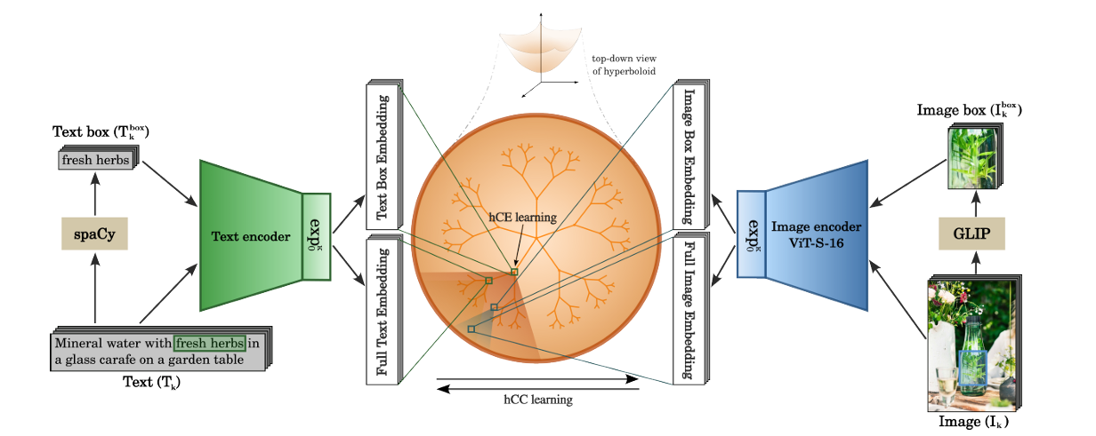 HyCoCLIP pipeline