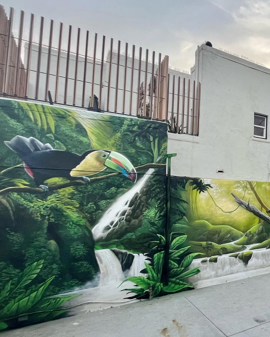 Street Art and Murals