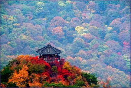 ÐÐ°ÑÑÐ¸Ð½ÐºÐ¸ Ð¿Ð¾ Ð·Ð°Ð¿ÑÐ¾ÑÑ ì¤ìì° ë¨í