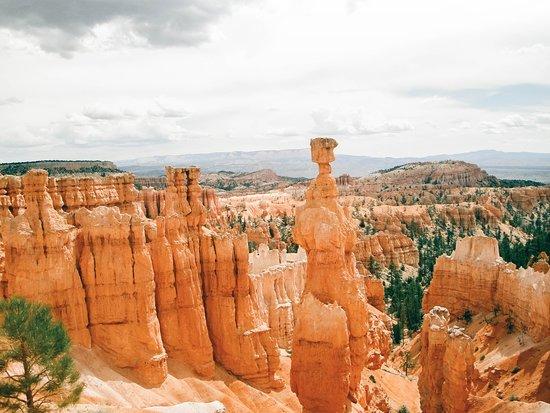 Bryce Canyon National Park. - Picture of Bryce Canyon National Park, Utah -  Tripadvisor