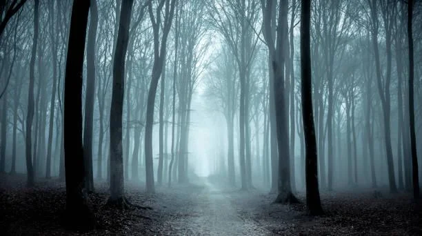 10 Places That Show Nature’s Grace, graceful nature, elegant landscapes, nature, landscape, smooth scenery, soft visuals