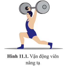 BÀI 11 - TỔNG HỢP VÀ PHÂN GIẢI CÁC CHẤT TRONG TẾ BÀO