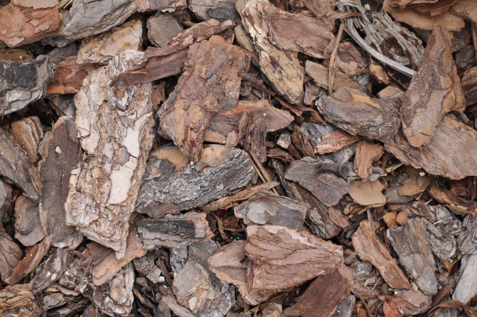 Close-up image of dark brown mulch spread across a garden bed.