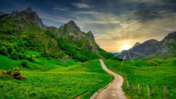 25 Nature Photos That Calm the Overthinking Mind, peaceful photos, nature therapy, nature, forest, landscape, mindful scenery, emotional calm