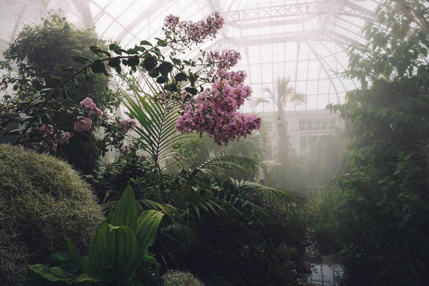 Various types of greenhouse structures like glasshouses and polytunnels