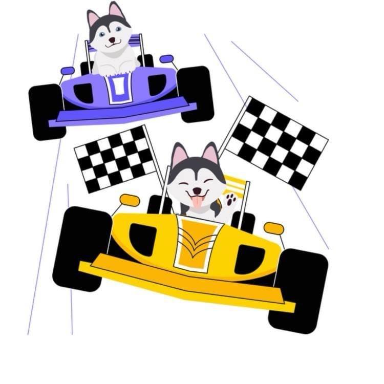 Huskies driving race cars