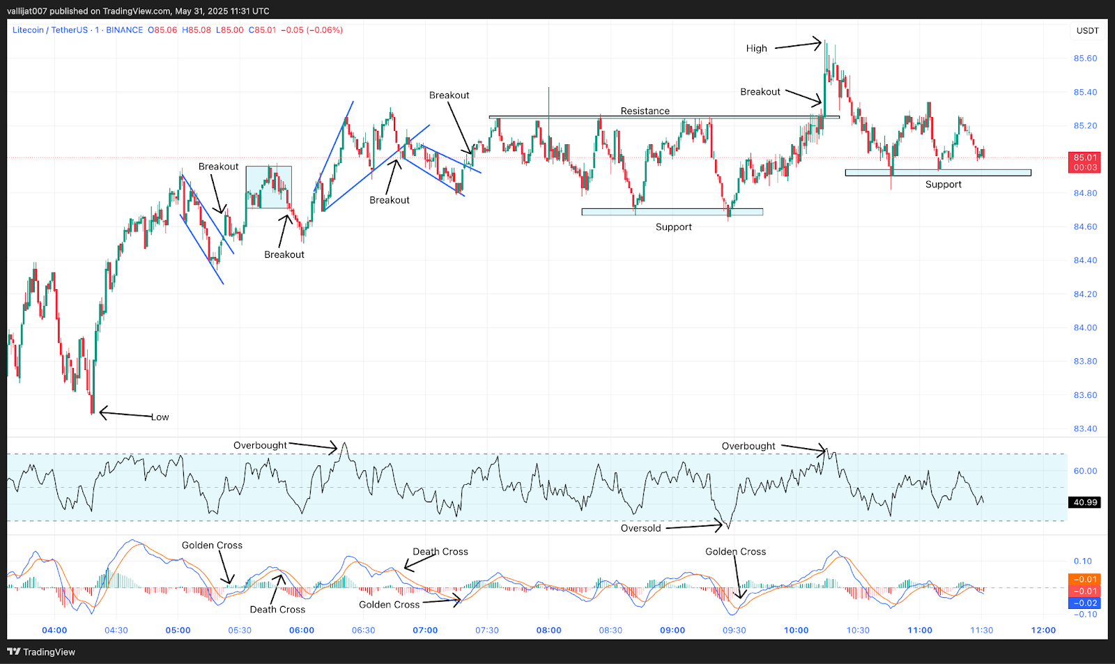 Chart 4: LTC/USDT M1 Chart, Analysed by vallijat007, published on TradingView, May 31, 2025
Litecoin price
