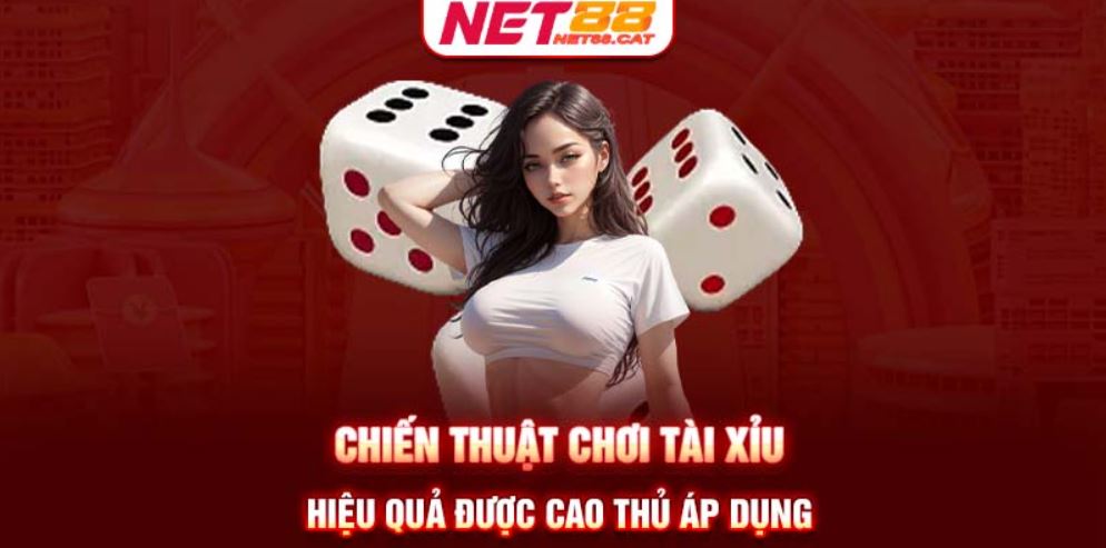 Chiến thuật chơi tài xỉu hiệu quả được cao thủ áp dụng