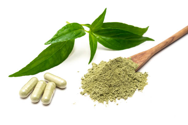 Kratom Strains and Blends