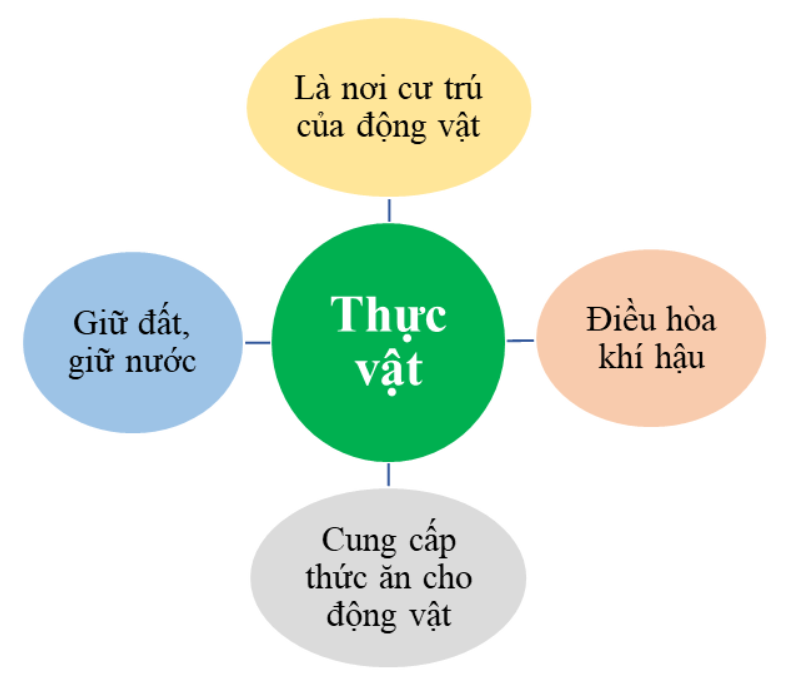 BÀI 34: TÌM HIỂU SINH VẬT NGOÀI THIÊN NHIÊNBÁO CÁO THỰC HÀNH