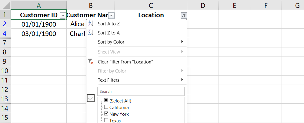 Text Filters in Excel