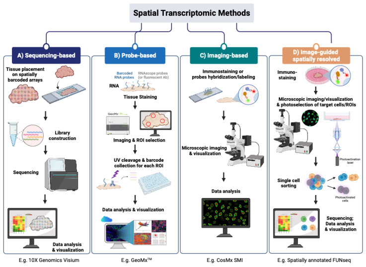 Spatial Transcriptomics Technologies