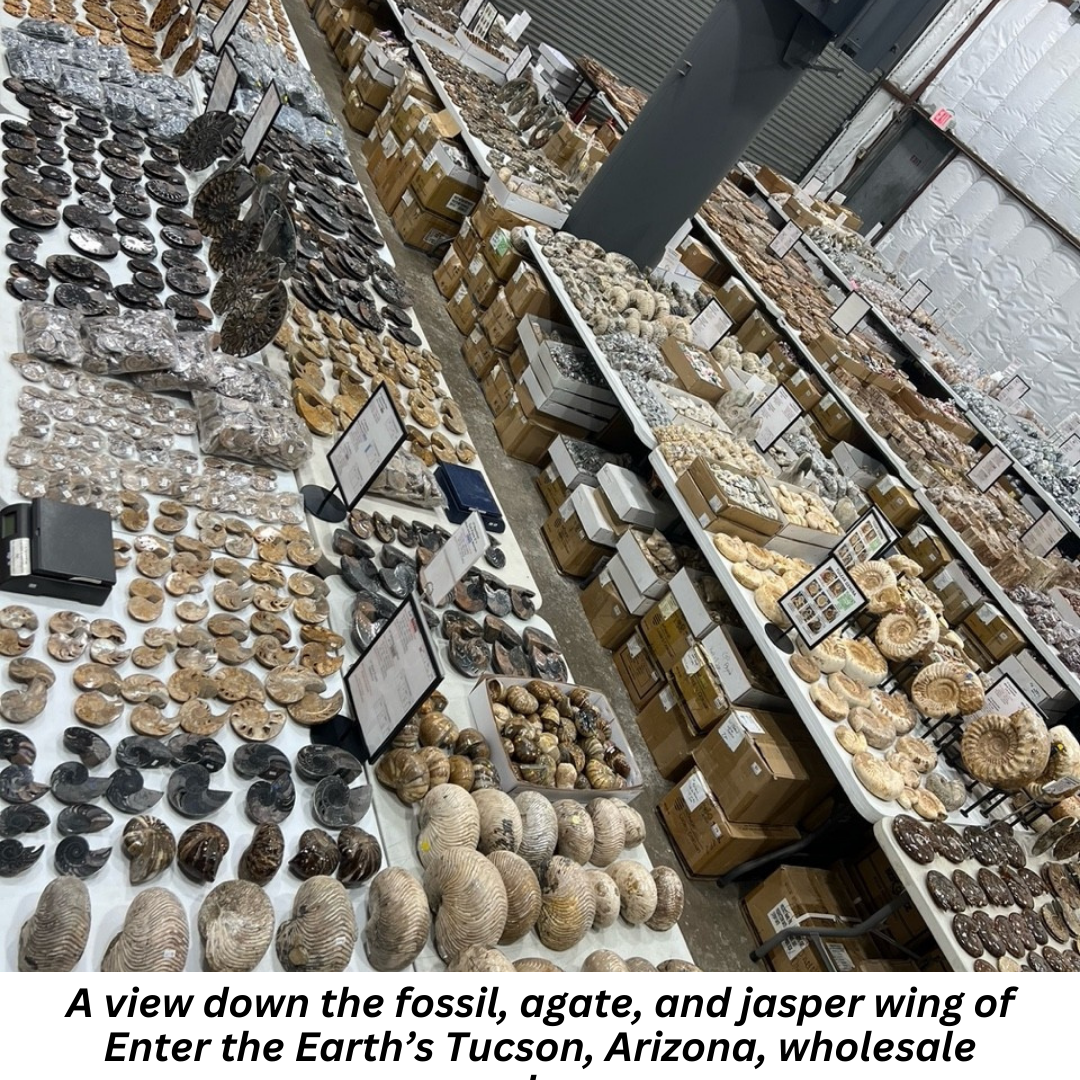 A view down the fossil, agate, and jasper wing of Enter the Earth’s Tucson, Arizona, wholesale warehouse.