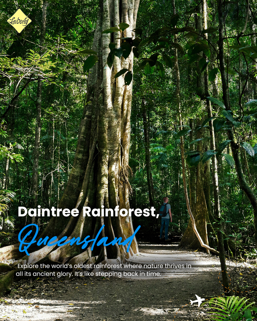 Daintree Rainforest, Queensland – Step Back in Time to the World's Oldest Rainforest