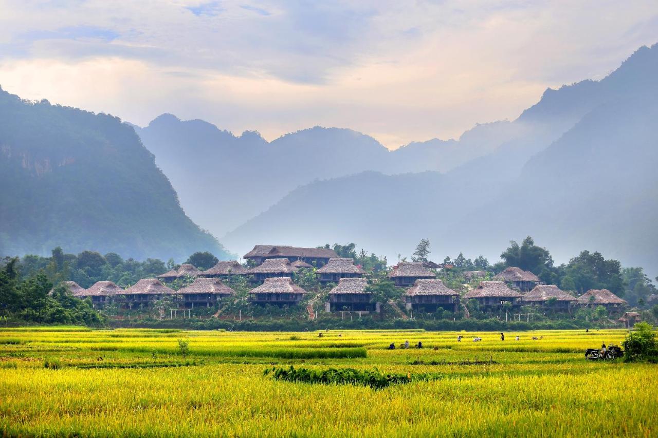 Toàn cảnh khu nghỉ dưỡng Mai Châu Ecolodge
