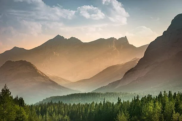 From Mountains to Forests: 20 Stunning Vistas, mountain photos, forest landscapes, nature, forest, landscape, nature variety, wide scenery