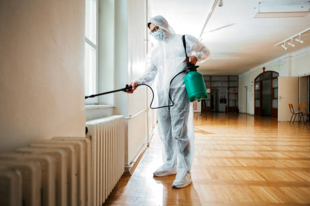 Best Time for Pest Control Services