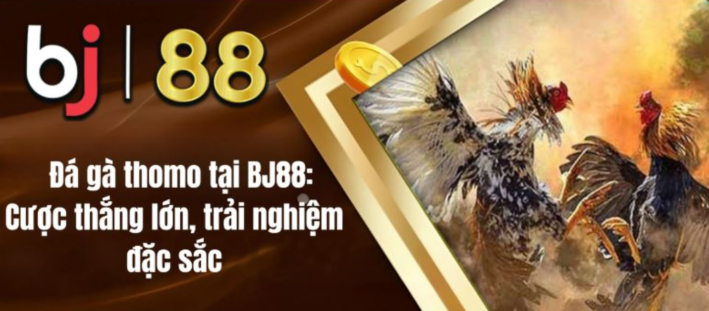 Giới thiệu về nhà cái hấp dẫn BJ88