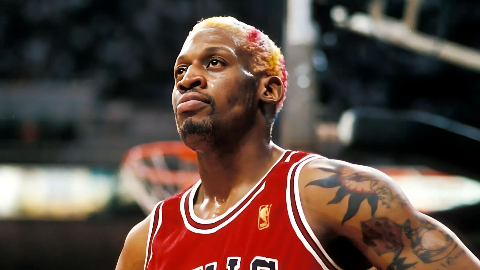 How Much is Dennis Rodman Worth
