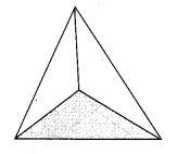 MCQ Questions for Class 7 Maths Chapter 15 Visualising Solid Shapes with Answers 9