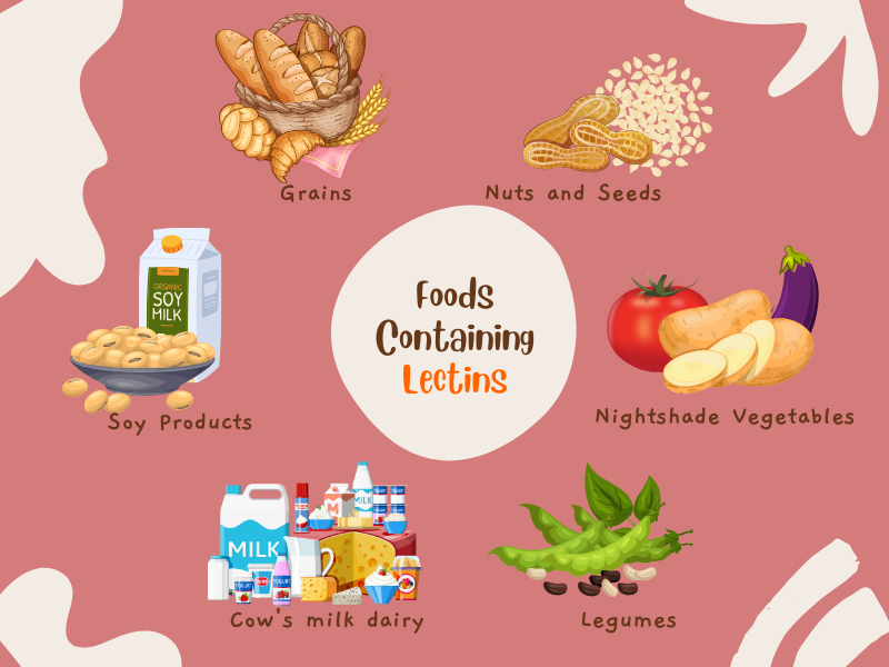 Foods Containing Lectins