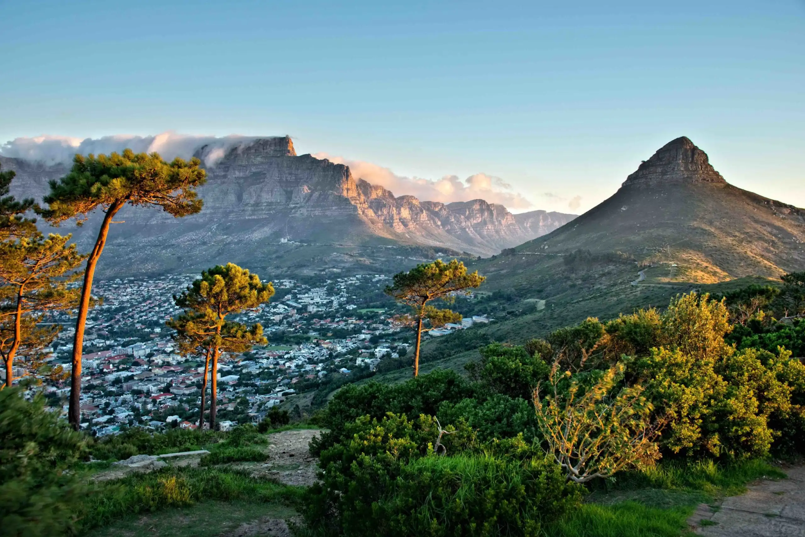 Lush Kirstenbosch Botanical Gardens