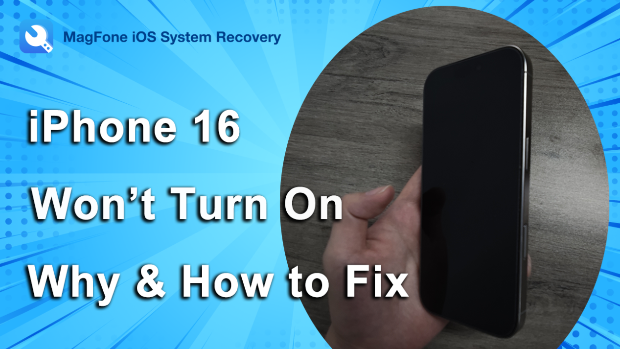 iOS System Recovery04