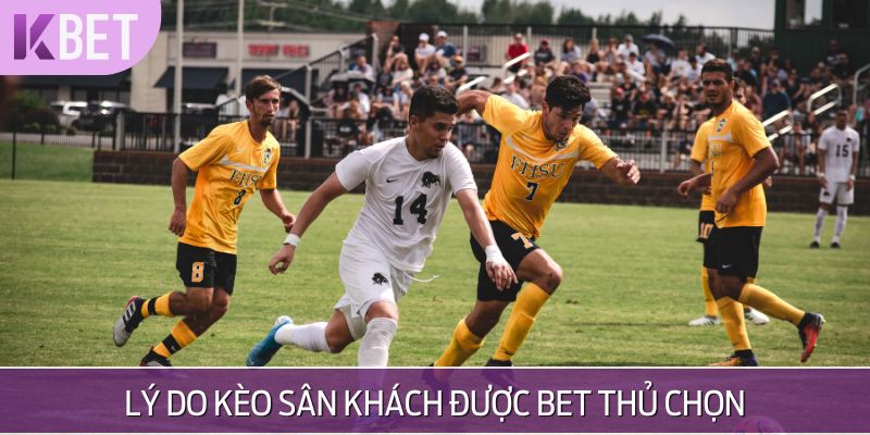minh hoạ kèo sân khách được ưa chuộng