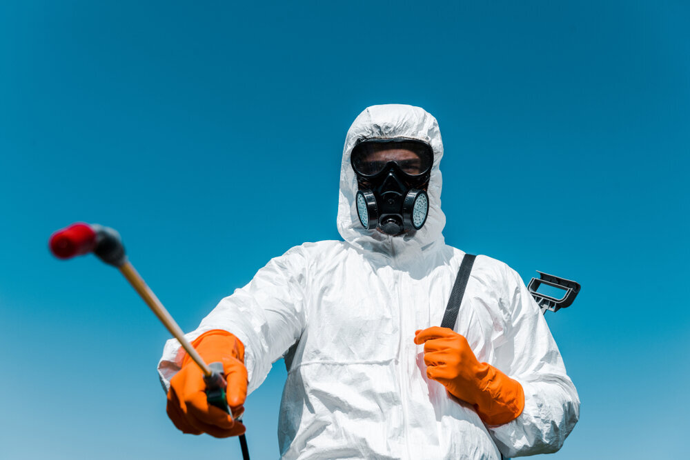 How Professional Pest Exterminators Safeguard Your Home: A Look at Their Services