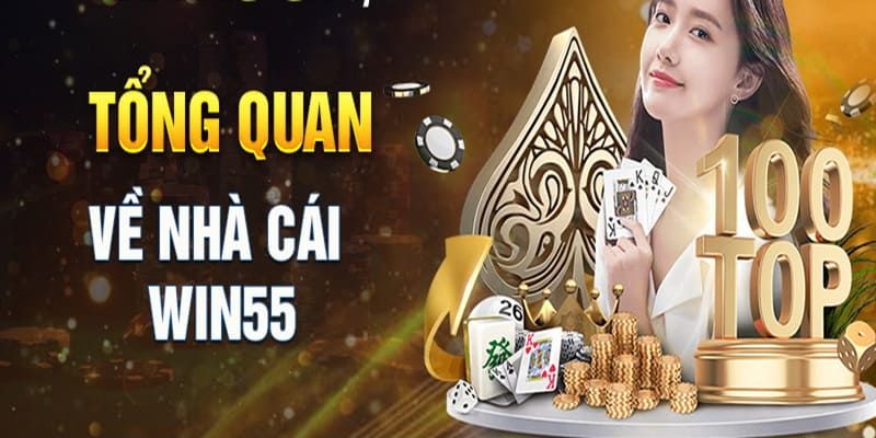 Khái quát sơ lược chung về nhà cái WIN55