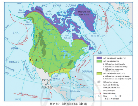BÀI 14. ĐẶC ĐIỂM TỰ NHIÊN BẮC MỸSự phân hóa địa hìnhCâu 1: Đọc thông tin và quan sát hình 13.1, hãy trình bày sự phân hoá địa hình của Bắc Mỹ.Đáp án chuẩn: 3 khu vực: dãy núi, đồng bằng trung tâm, miền núi già Sự phân hóa khí hậuCâu 1: Đọc thông tin và quan sát hình 14.1, hãy nêu sự phân hoá khí hậu của Bắc Mỹ.Đáp án chuẩn: - Theo chiều bắc - nam, 3 đới khí hậu:  cực và cận cực; ôn đới; cận nhiệt đới.- Theo chiều đông - tây, đới khí hậu ôn đới và cận nhiệt đới Đặc điểm sông, hồCâu 1: Đọc thông tin và quan sát hình 13.1, hình 14.1, hãy cho biết đặc điểm sông, hồ của Bắc Mỹ.Đáp án chuẩn: Mạng lưới sông khá dày và phân bố tương đối đồng đều. Đặc điểm các đới thiên nhiênCâu 1: Đọc thông tin và quan sát hình 13.1, hình 14.1, hãy cho biết Bắc Mỹ có những đới thiên nhiên nào. Mô tả đặc điểm của một trong những đới thiên nhiên đó. Đáp án chuẩn: - Có 3 đới thiên nhiên: đới lạnh, đới ôn hoà, đới nóng- Đới ôn hoà: khí hậu ôn hoà với các mùa rõ rệt nền thiên nhiên khá đa dạng. Thực vật có rừng lá kim, rừng lá rộng, rừng hỗn hợp và thảo nguyên. Động vật phong phú.LUYỆN TẬPCâu 1: Hãy lập bảng mô tả đặc điểm 3 khu vực địa hình của Bắc Mỹ.Đáp án chuẩn: Hệ thống núi CoocđieĐồng bằng trung tâmMiền núi già và sơn nguyênNằm ở phía tây Bắc MỹNằm ở trung tâm Bắc MỹNằm ở rìa đông Bắc MỹVùng đất này có nhiều dãy núi song song, xen giữa là cao nguyên và bồn địa, với địa hình cao và hiểm trở.diện tích rộng lớn, địa hình cao ở phía tây bắc và thấp dần về phía nam và đông nam.Bao gồm dãy núi A-pa-lát và sơn nguyên La-bra-đô, địa hình tương đối thấpVẬN DỤNG