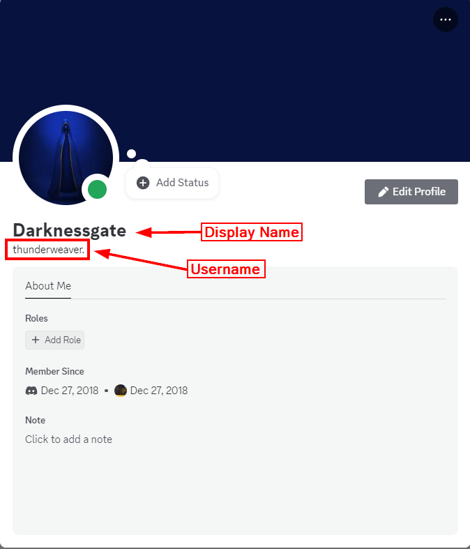  A Discord account profile showing both the display name and username associated with the account.