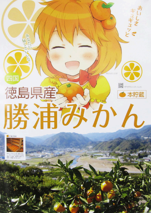 德島縣勝浦町的蜜柑