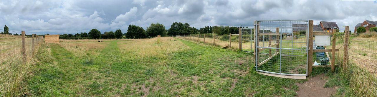 Private hire field for dogs at Weaver Pet Care photo Nose To Trail's own.