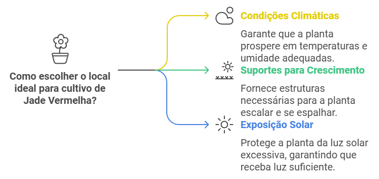 Condições de cultivo da planta jade vermelha