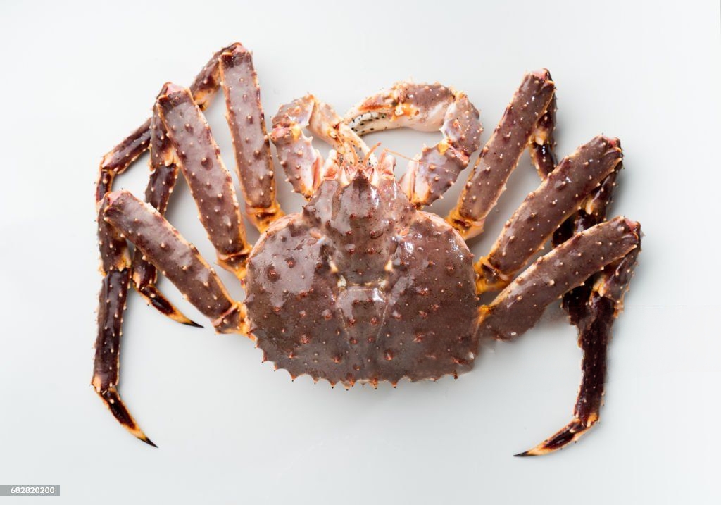 Where do king crabs live?