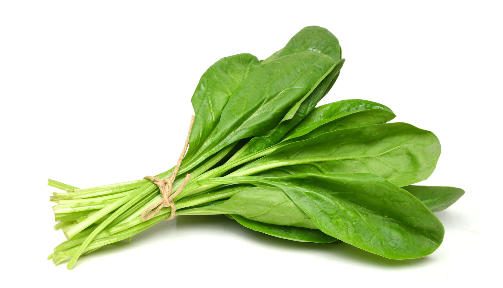 Spinach growing guide: Easy tips for fresh, healthy greens