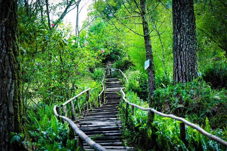 Volcán de San Salvador - Parque Nacional El Boquerón | El Salvador