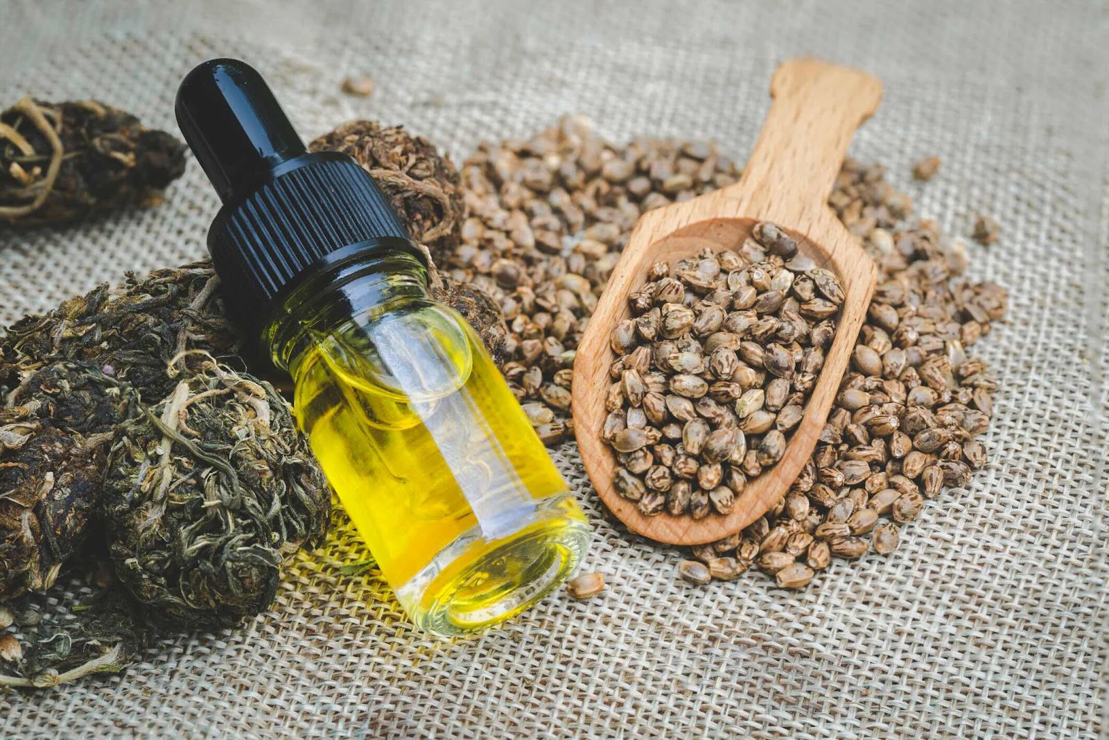 What is the Difference between Cbd Oil And Hemp Oil  