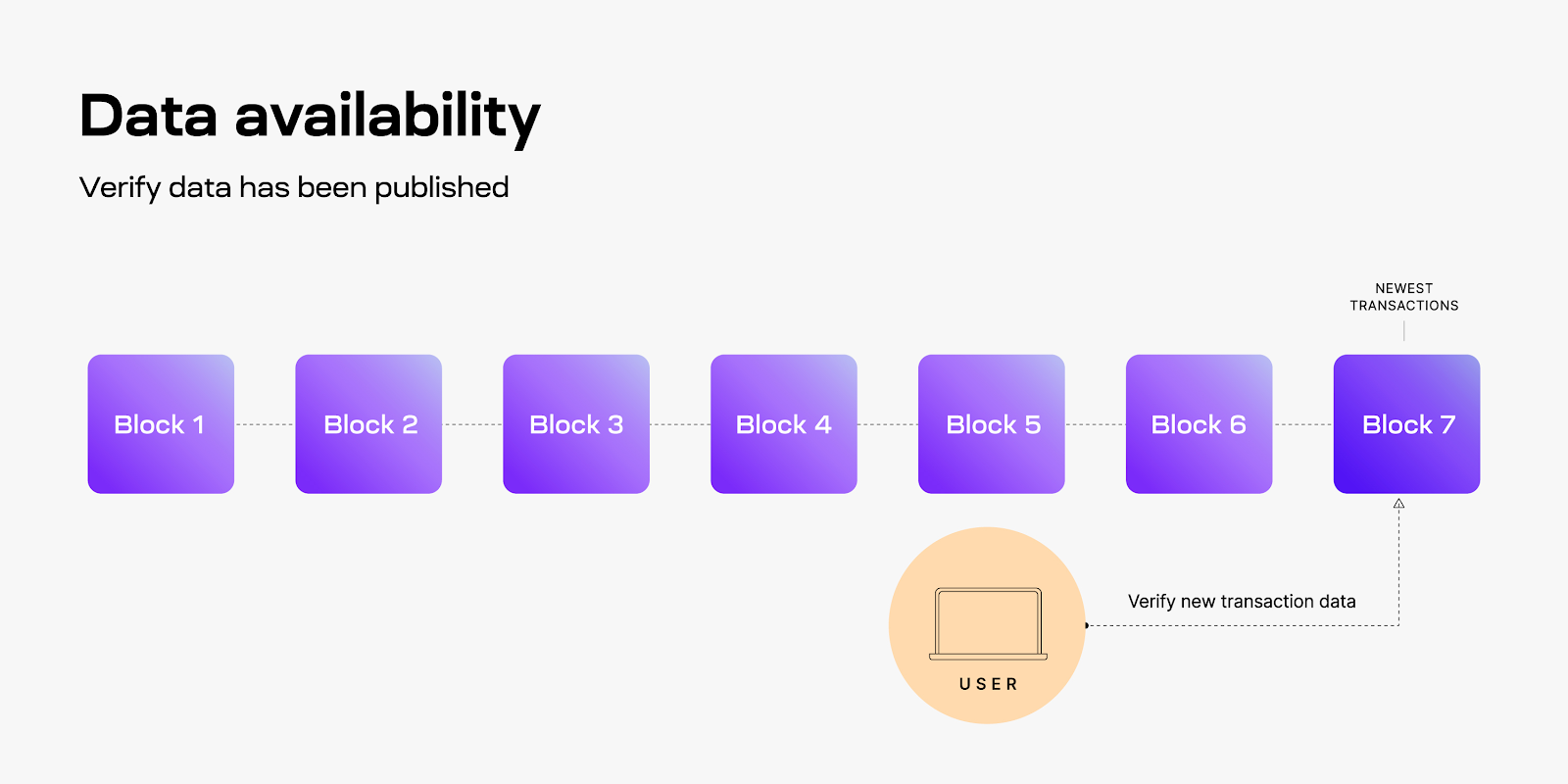 Data Availability in Blockchain