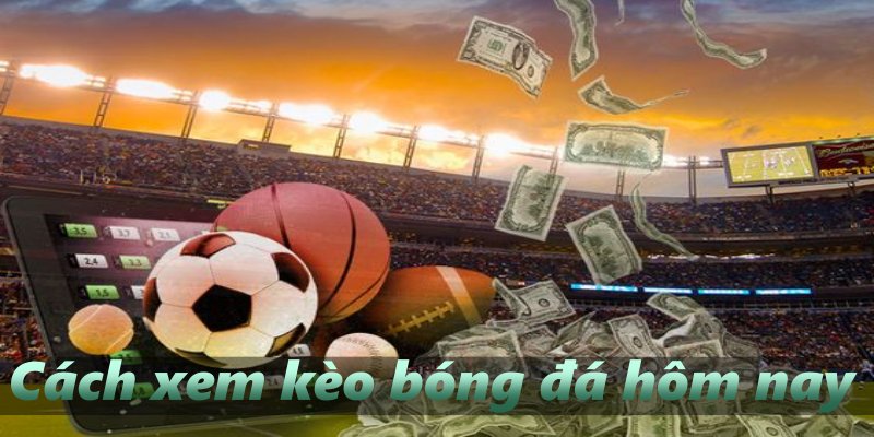 AD_4nXdHLN65fPg11jNXYqdZC4qEwINzzthu-vRO5YWtPfdfrM_K89PsO14PARljxYX_9Tbl0550ky9p4XE17kJIqxdFFRnrDy0hWCBW7KzQlouPNb-F184tNqboqsgcDiePjhzZEbLFo3JYEmqWnhH_HkCfH8rD?key=tg5gdyzynNeH5mYAgnXzrA