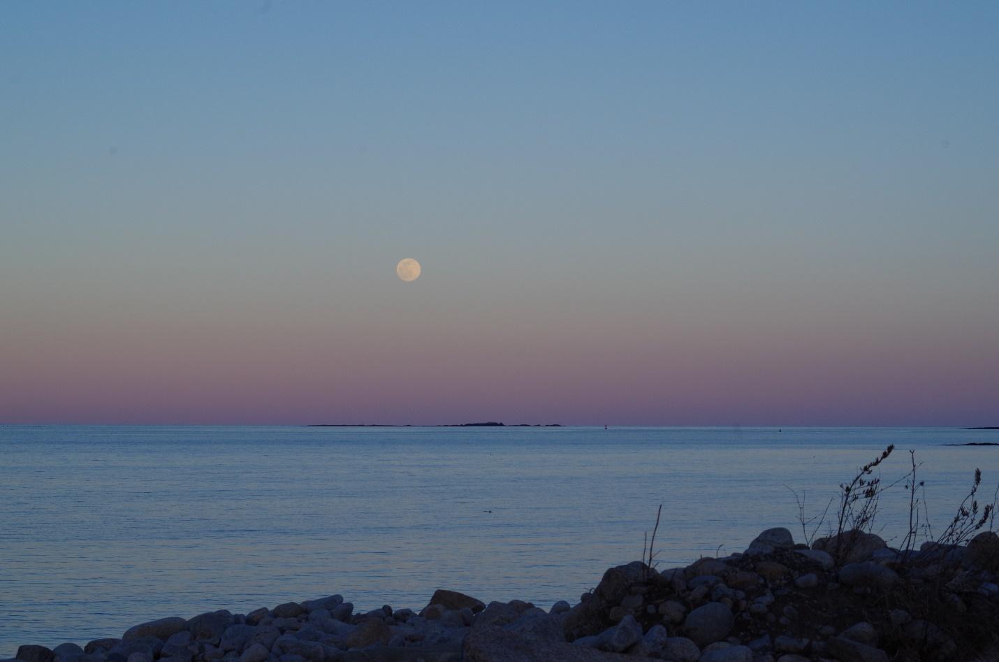 A body of water with a moon in the sky

Description automatically generated with low confidence