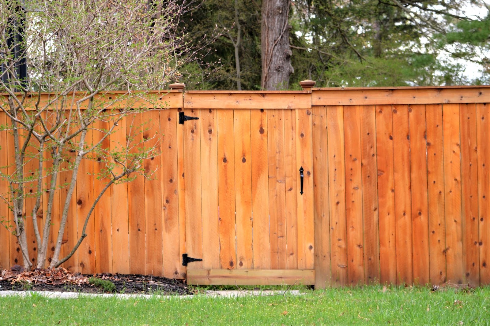 Wood Fence with a gate. 