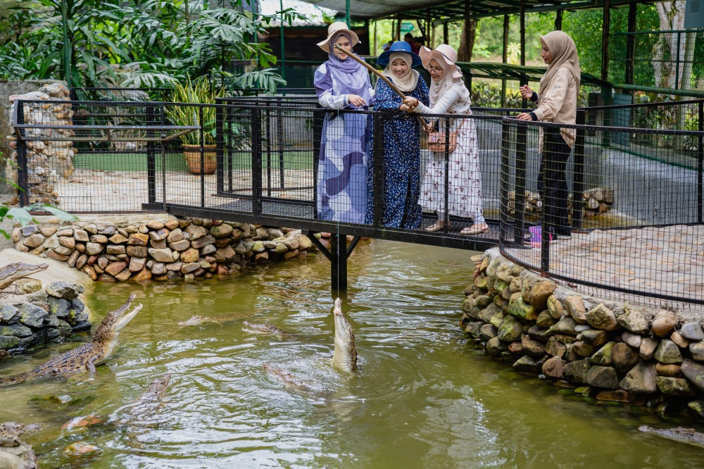 Crocodile Adventureland