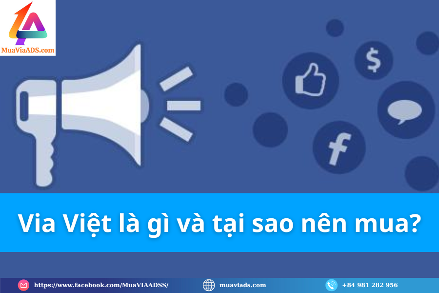 Via Việt là gì và tại sao nên mua?