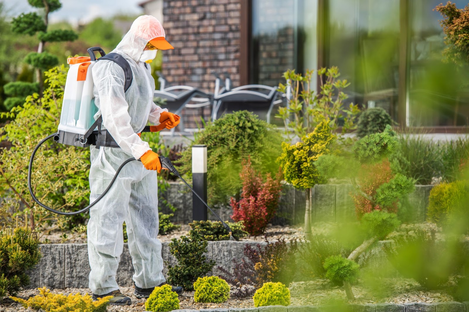 Pest control technician in protective gear applying treatment in a residential garden for pest prevention.